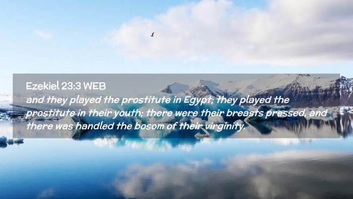 Picture 02 - Ezekiel 23:3 WEB Desktop Wallpaper - and they played the prostitute in Egypt; they - Desktop Bible Verse Wallpaper