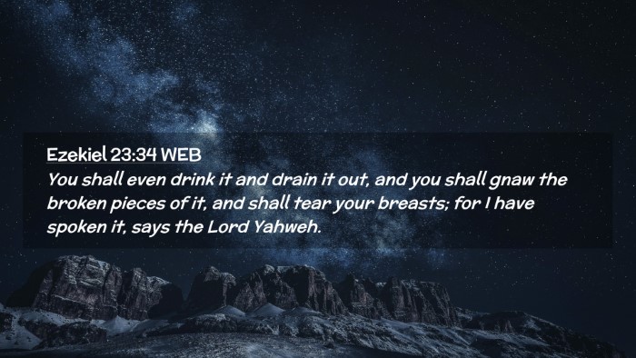 Picture 02 - Ezekiel 23:34 WEB Desktop Wallpaper - You shall even drink it and drain it out, and you - Desktop Bible Verse Wallpaper