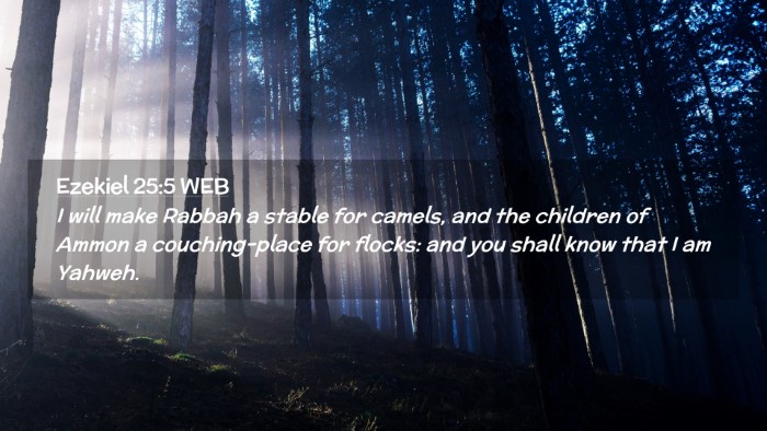 Picture 02 - Ezekiel 25:5 WEB Desktop Wallpaper - I will make Rabbah a stable for camels, and the - Desktop Bible Verse Wallpaper