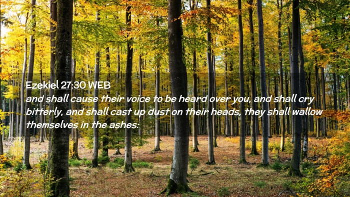 Picture 02 - Ezekiel 27:30 WEB Desktop Wallpaper - and shall cause their voice to be heard over you, - Desktop Bible Verse Wallpaper