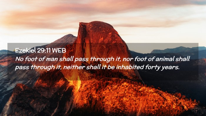 Picture 02 - Ezekiel 29:11 WEB Desktop Wallpaper - No foot of man shall pass through it, nor foot of - Desktop Bible Verse Wallpaper