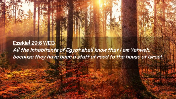 Picture 02 - Ezekiel 29:6 WEB Desktop Wallpaper - All the inhabitants of Egypt shall know that I am - Desktop Bible Verse Wallpaper