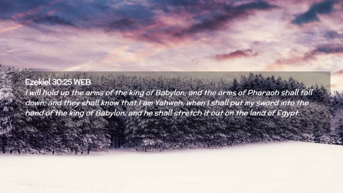 Picture 02 - Ezekiel 30:25 WEB Desktop Wallpaper - I will hold up the arms of the king of Babylon; - Desktop Bible Verse Wallpaper