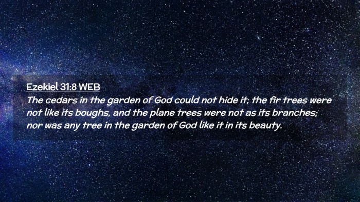 Picture 02 - Ezekiel 31:8 WEB Desktop Wallpaper - The cedars in the garden of God could not hide - Desktop Bible Verse Wallpaper
