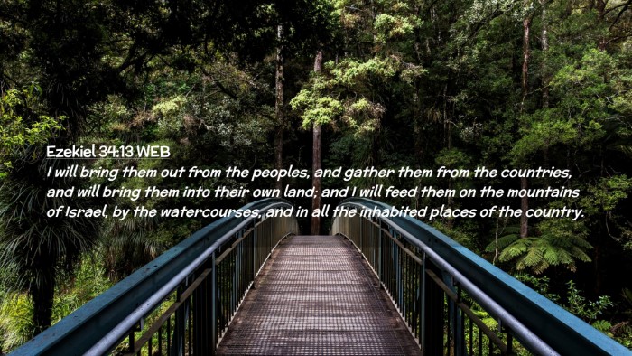 Picture 02 - Ezekiel 34:13 WEB Desktop Wallpaper - I will bring them out from the peoples, and - Desktop Bible Verse Wallpaper