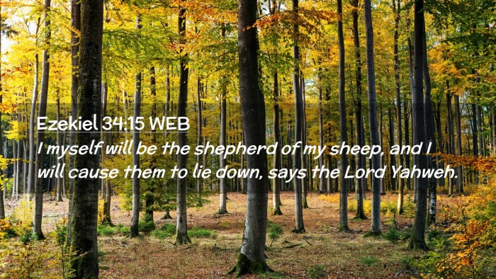 Picture 02 - Ezekiel 34:15 WEB Desktop Wallpaper - I myself will be the shepherd of my sheep, and I - Desktop Bible Verse Wallpaper