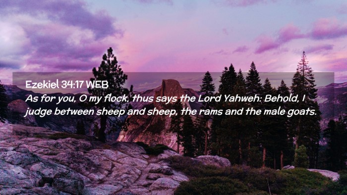 Picture 02 - Ezekiel 34:17 WEB Desktop Wallpaper - As for you, O my flock, thus says the Lord - Desktop Bible Verse Wallpaper
