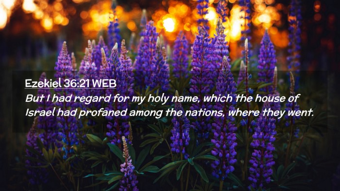 Picture 02 - Ezekiel 36:21 WEB Desktop Wallpaper - But I had regard for my holy name, which the - Desktop Bible Verse Wallpaper