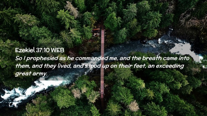 Picture 02 - Ezekiel 37:10 WEB Desktop Wallpaper - So I prophesied as he commanded me, and the - Desktop Bible Verse Wallpaper
