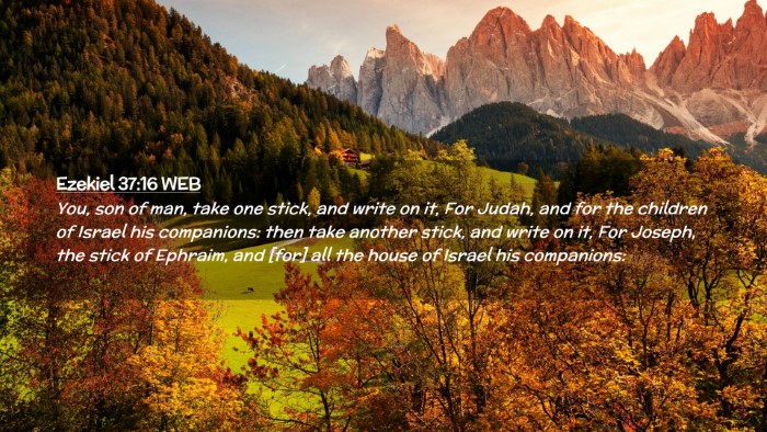 Picture 02 - Ezekiel 37:16 WEB Desktop Wallpaper - You, son of man, take one stick, and write on it, - Desktop Bible Verse Wallpaper