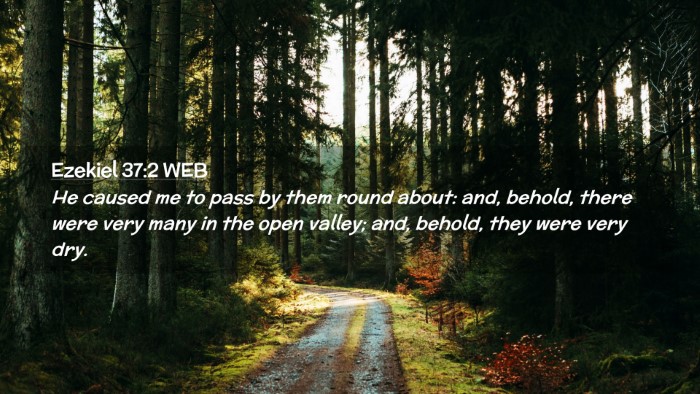 Picture 02 - Ezekiel 37:2 WEB Desktop Wallpaper - He caused me to pass by them round about: and, - Desktop Bible Verse Wallpaper