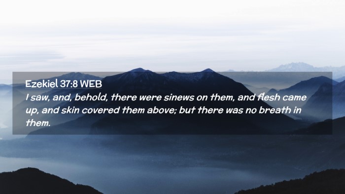 Picture 02 - Ezekiel 37:8 WEB Desktop Wallpaper - I saw, and, behold, there were sinews on them, - Desktop Bible Verse Wallpaper