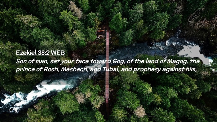 Picture 02 - Ezekiel 38:2 WEB Desktop Wallpaper - Son of man, set your face toward Gog, of the land - Desktop Bible Verse Wallpaper