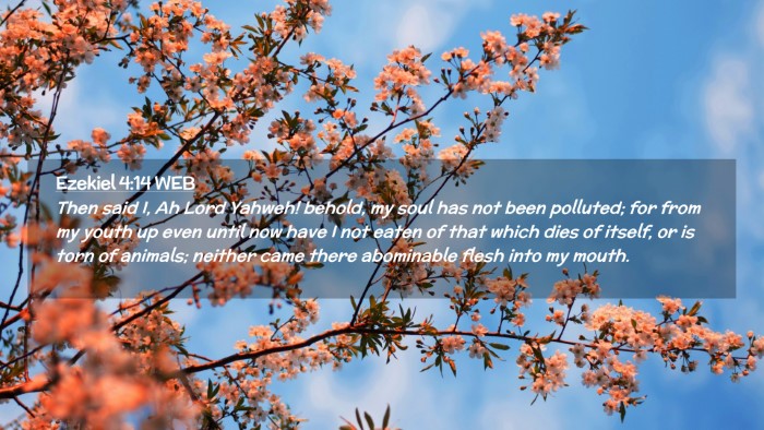 Picture 02 - Ezekiel 4:14 WEB Desktop Wallpaper - Then said I, Ah Lord Yahweh! behold, my soul has - Desktop Bible Verse Wallpaper