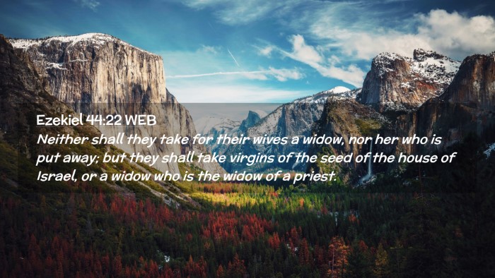 Picture 02 - Ezekiel 44:22 WEB Desktop Wallpaper - Neither shall they take for their wives a widow, - Desktop Bible Verse Wallpaper