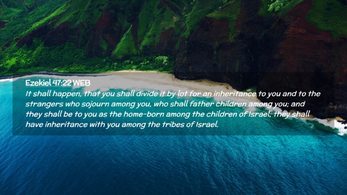 Picture 02 - Ezekiel 47:22 WEB Desktop Wallpaper - It shall happen, that you shall divide it by lot - Desktop Bible Verse Wallpaper