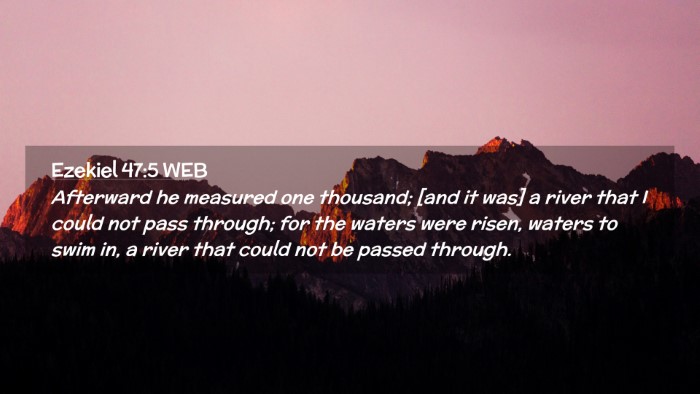 Picture 02 - Ezekiel 47:5 WEB Desktop Wallpaper - Afterward he measured one thousand; [and it was] - Desktop Bible Verse Wallpaper