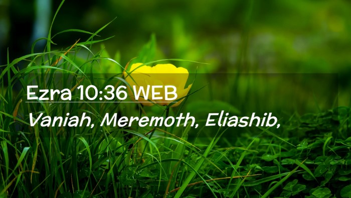 Picture 02 - Ezra 10:36 WEB Desktop Wallpaper - Vaniah, Meremoth, - Desktop Bible Verse Wallpaper