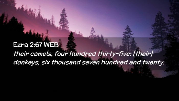 Picture 02 - Ezra 2:67 WEB Desktop Wallpaper - their camels, four hundred thirty-five; [their] - Desktop Bible Verse Wallpaper