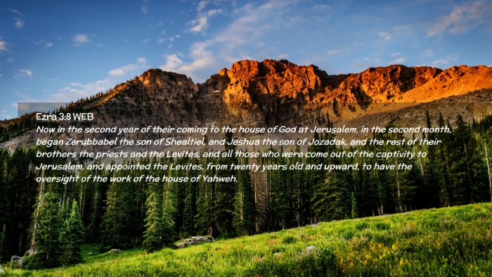 Picture 02 - Ezra 3:8 WEB Desktop Wallpaper - Now in the second year of their coming to the - Desktop Bible Verse Wallpaper