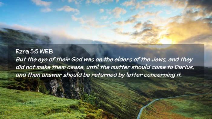 Picture 02 - Ezra 5:5 WEB Desktop Wallpaper - But the eye of their God was on the elders of the - Desktop Bible Verse Wallpaper