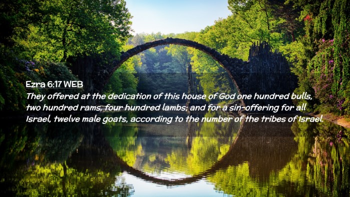 Picture 02 - Ezra 6:17 WEB Desktop Wallpaper - They offered at the dedication of this house of - Desktop Bible Verse Wallpaper