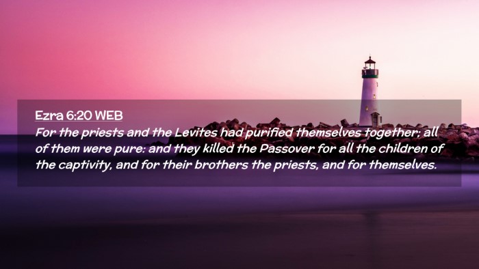 Picture 02 - Ezra 6:20 WEB Desktop Wallpaper - For the priests and the Levites had purified - Desktop Bible Verse Wallpaper