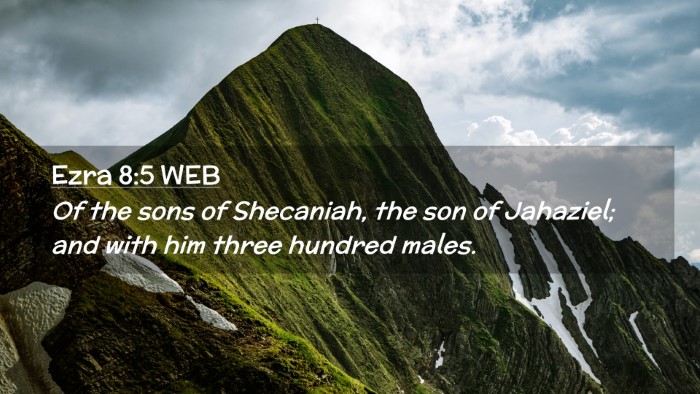 Picture 02 - Ezra 8:5 WEB Desktop Wallpaper - Of the sons of Shecaniah, the son of Jahaziel; - Desktop Bible Verse Wallpaper