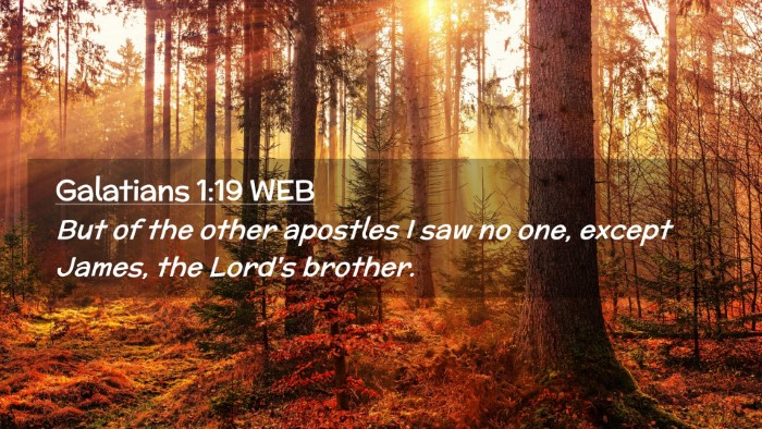 Picture 02 - Galatians 1:19 WEB Desktop Wallpaper - But of the other apostles I saw no one, except - Desktop Bible Verse Wallpaper