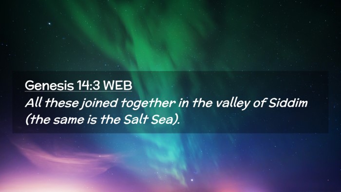 Picture 02 - Genesis 14:3 WEB Desktop Wallpaper - All these joined together in the valley of Siddim - Desktop Bible Verse Wallpaper