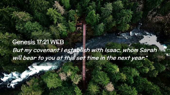 Picture 02 - Genesis 17:21 WEB Desktop Wallpaper - But my covenant I establish with Isaac, whom - Desktop Bible Verse Wallpaper