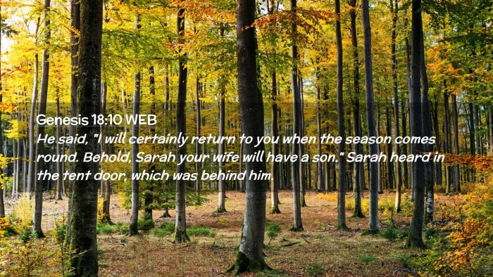 Picture 02 - Genesis 18:10 WEB Desktop Wallpaper - He said, 