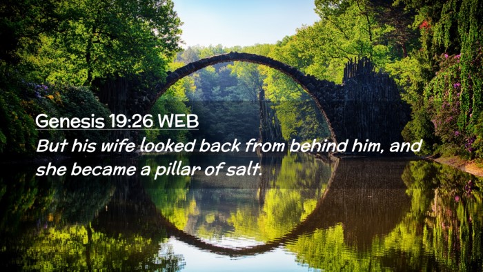 Picture 02 - Genesis 19:26 WEB Desktop Wallpaper - But his wife looked back from behind him, and she - Desktop Bible Verse Wallpaper