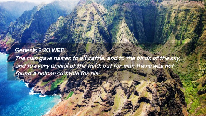 Picture 02 - Genesis 2:20 WEB Desktop Wallpaper - The man gave names to all cattle, and to the - Desktop Bible Verse Wallpaper