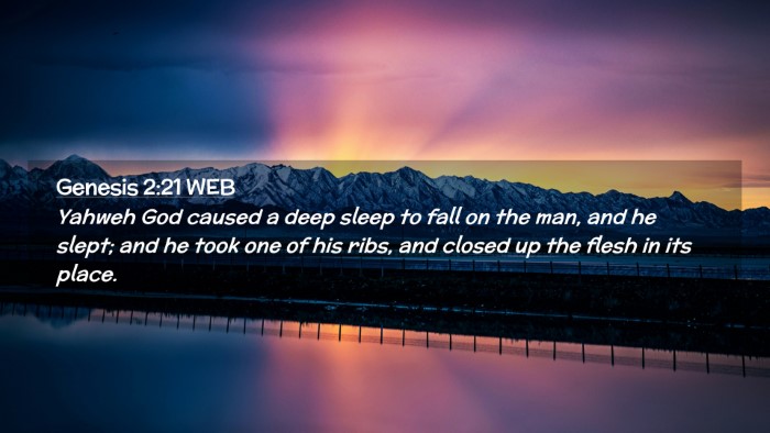 Picture 02 - Genesis 2:21 WEB Desktop Wallpaper - Yahweh God caused a deep sleep to fall on the - Desktop Bible Verse Wallpaper