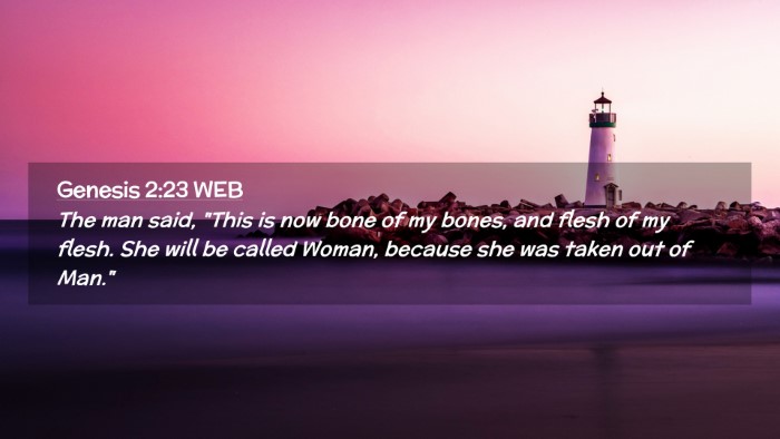 Picture 02 - Genesis 2:23 WEB Desktop Wallpaper - The man said, 