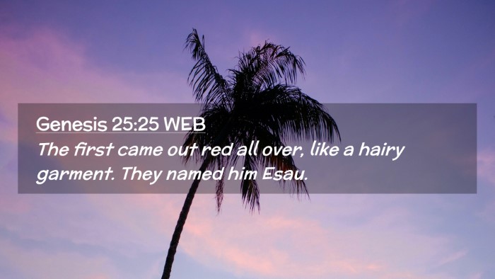 Picture 02 - Genesis 25:25 WEB Desktop Wallpaper - The first came out red all over, like a hairy - Desktop Bible Verse Wallpaper