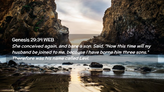 Picture 02 - Genesis 29:34 WEB Desktop Wallpaper - She conceived again, and bare a son. Said, 