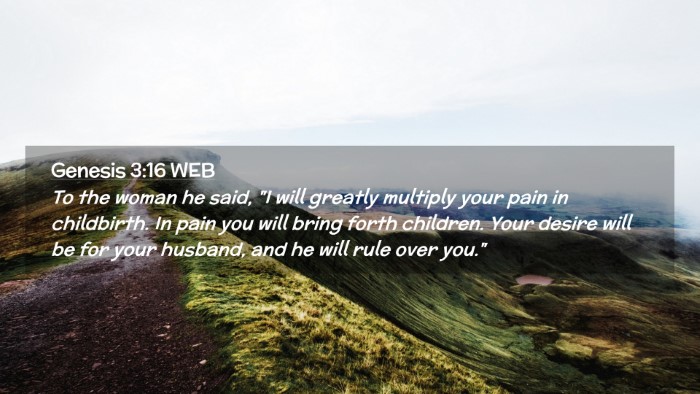 Picture 02 - Genesis 3:16 WEB Desktop Wallpaper - To the woman he said, 