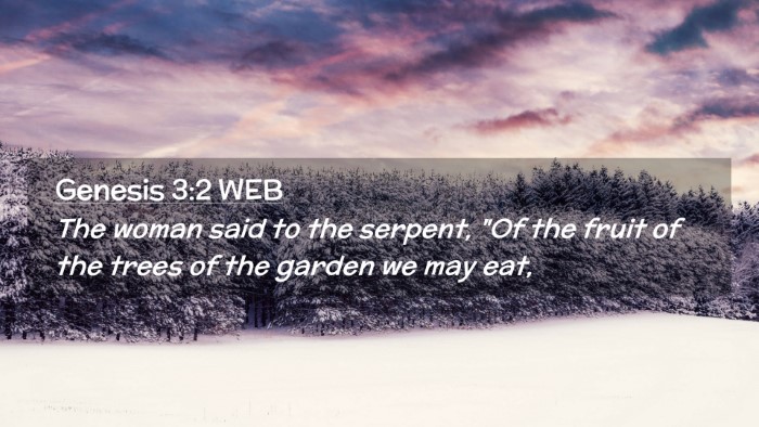 Picture 02 - Genesis 3:2 WEB Desktop Wallpaper - The woman said to the serpent, 