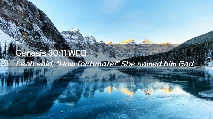 Picture 02 - Genesis 30:11 WEB Desktop Wallpaper - Leah said, 