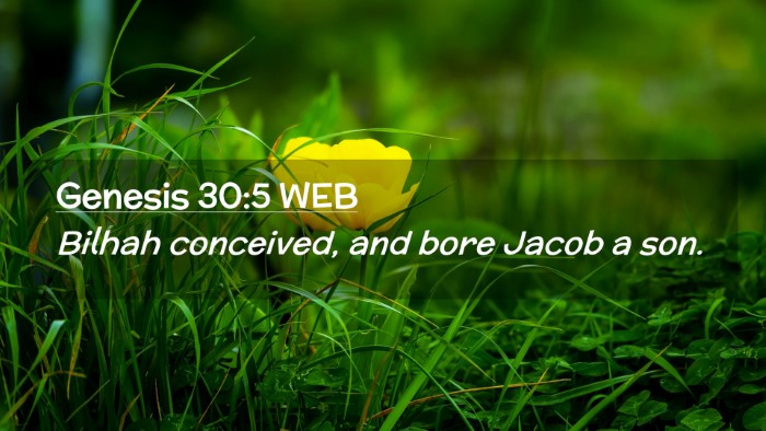 Picture 02 - Genesis 30:5 WEB Desktop Wallpaper - Bilhah conceived, and bore Jacob a - Desktop Bible Verse Wallpaper