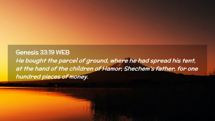 Picture 02 - Genesis 33:19 WEB Desktop Wallpaper - He bought the parcel of ground, where he had - Desktop Bible Verse Wallpaper