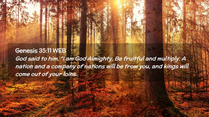 Picture 02 - Genesis 35:11 WEB Desktop Wallpaper - God said to him, 