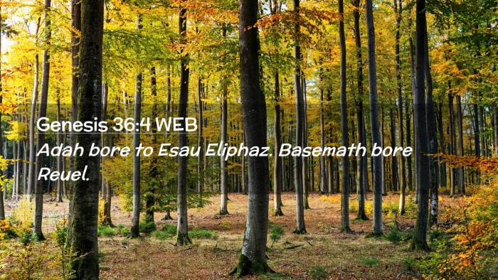 Picture 02 - Genesis 36:4 WEB Desktop Wallpaper - Adah bore to Esau Eliphaz. Basemath bore - Desktop Bible Verse Wallpaper