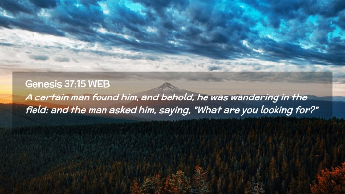 Picture 02 - Genesis 37:15 WEB Desktop Wallpaper - A certain man found him, and behold, he was - Desktop Bible Verse Wallpaper