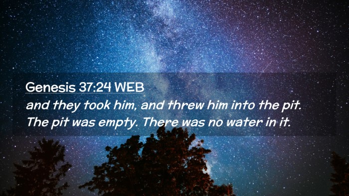 Picture 02 - Genesis 37:24 WEB Desktop Wallpaper - and they took him, and threw him into the pit. - Desktop Bible Verse Wallpaper