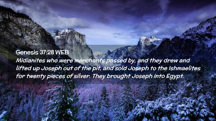 Picture 02 - Genesis 37:28 WEB Desktop Wallpaper - Midianites who were merchants passed by, and they - Desktop Bible Verse Wallpaper
