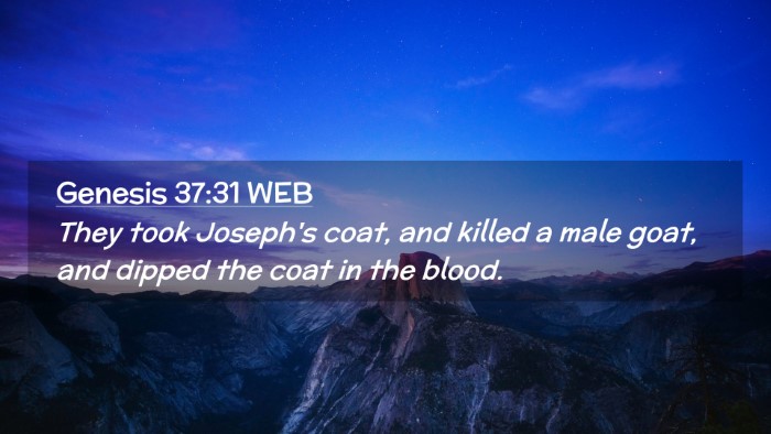 Picture 02 - Genesis 37:31 WEB Desktop Wallpaper - They took Joseph's coat, and killed a male goat, - Desktop Bible Verse Wallpaper
