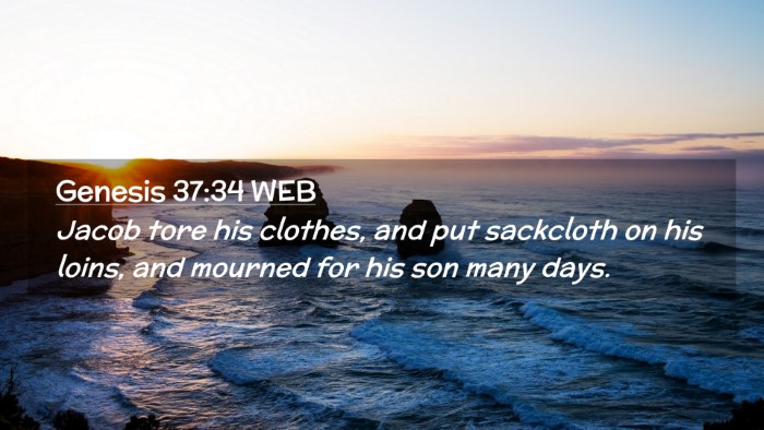 Picture 02 - Genesis 37:34 WEB Desktop Wallpaper - Jacob tore his clothes, and put sackcloth on his - Desktop Bible Verse Wallpaper